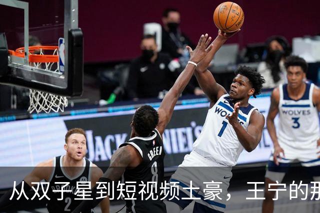 从双子星到短视频土豪，王宁的那些年